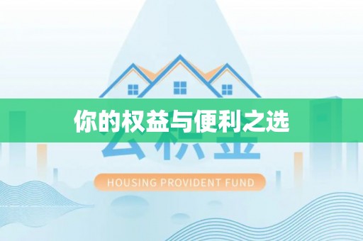 紫阳你的权益与便利之选