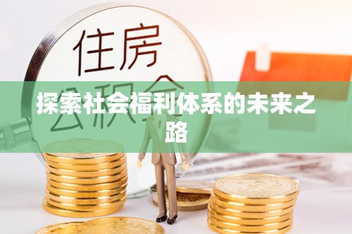 紫阳探索社会福利体系的未来之路