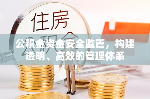 紫阳公积金资金安全监管，构建透明、高效的管理体系