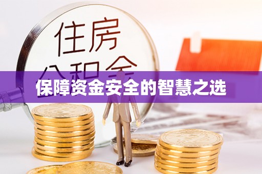 紫阳保障资金安全的智慧之选