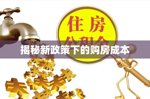 紫阳揭秘新政策下的购房成本