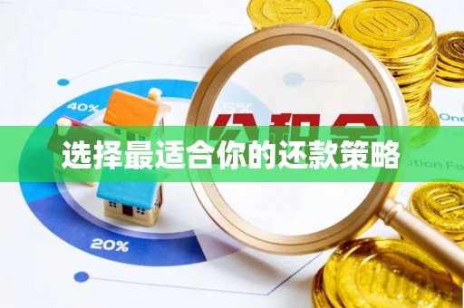 紫阳选择最适合你的还款策略